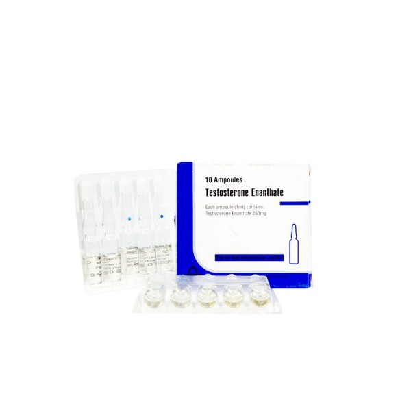 Testosterone Enantate 250 mg Aburaihan