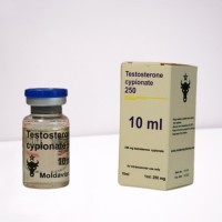 Testosterone cypionate 250 mg Moldavian Pharma